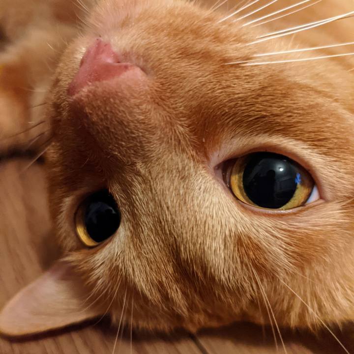 55689ebf 59e6 4125 8fba fc0a412b8685 1628266297634