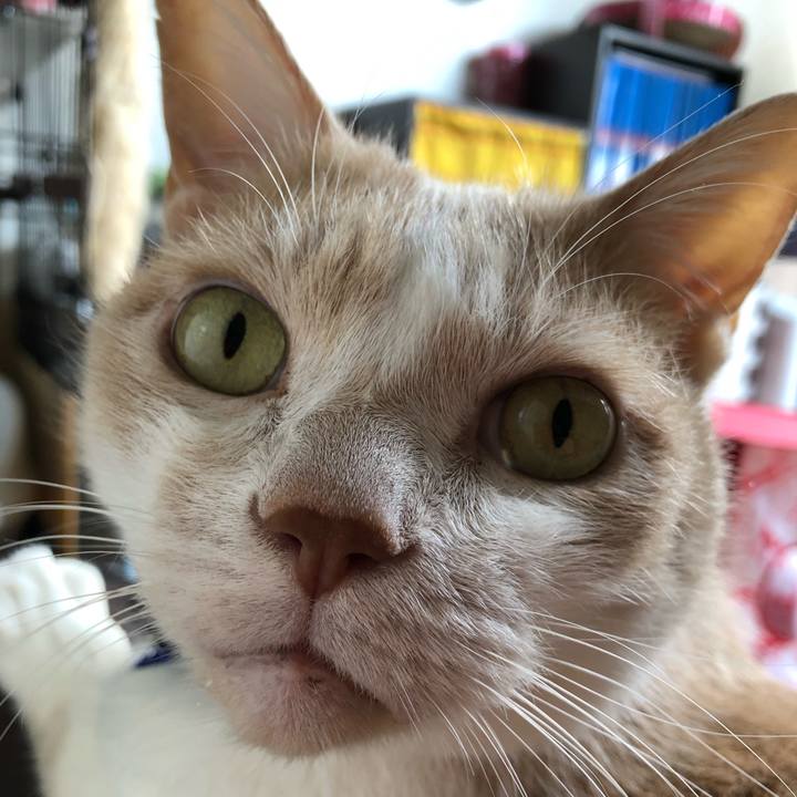 5568a067 a8aa 4a5d 8002 a4012dc927cb 1542338056956