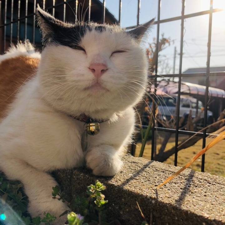 5568f267 8021 471d b5ac 0b99b202bdc7 1613865947890