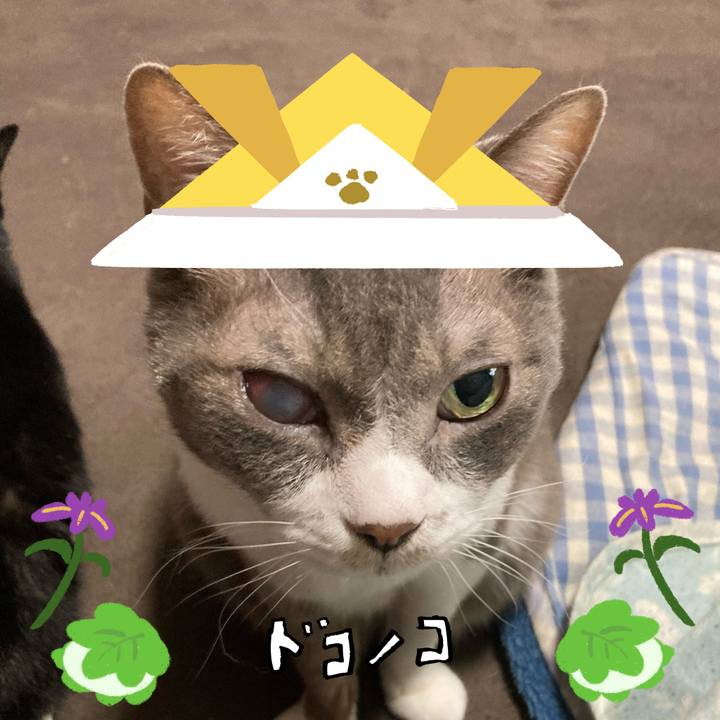 5569082a 55ab 46ed bdc1 dce8abe5a15e 1714950834982