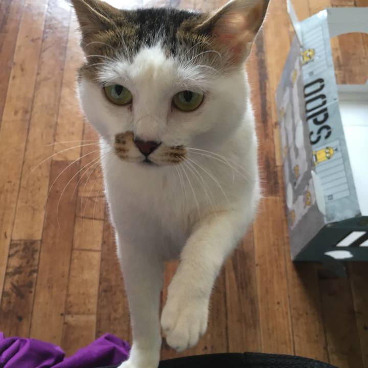 556934f2 a95f 459a 836a 789f727e578d 1524541077382