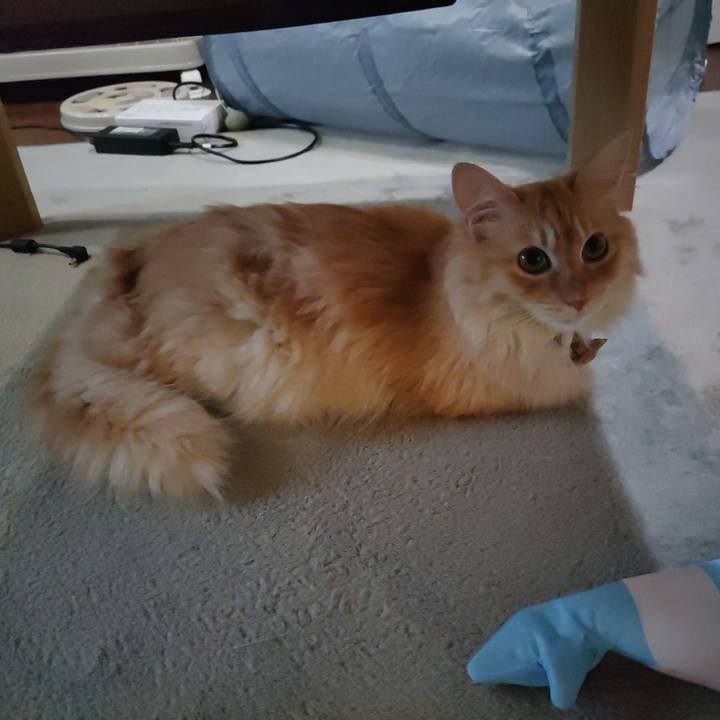 55693fa9 f988 437d 9cc3 e67f15270a0e 1691965545504