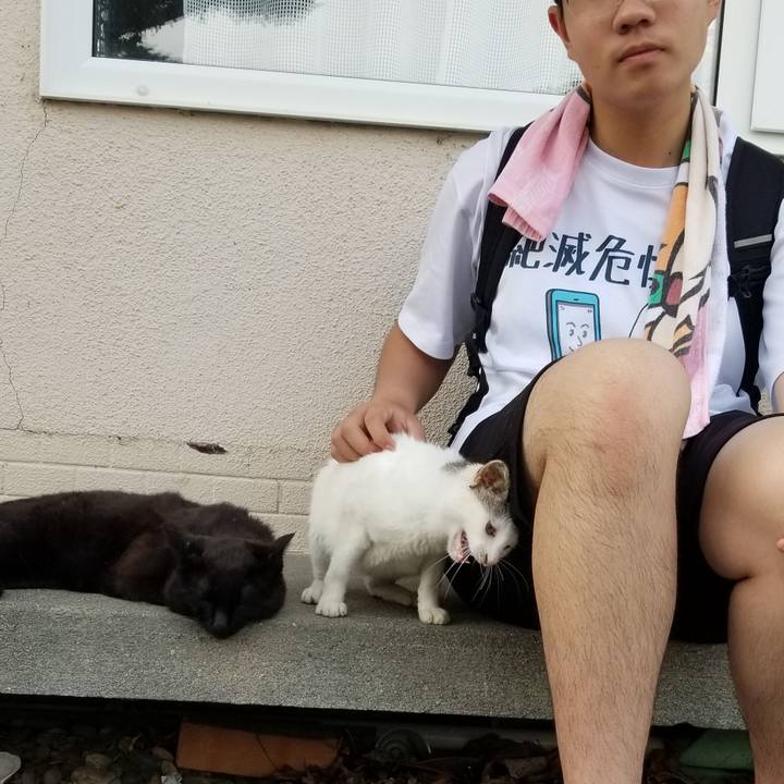 55698478 8a4d 402f 8a9a c81241cfd16d 1687013060282