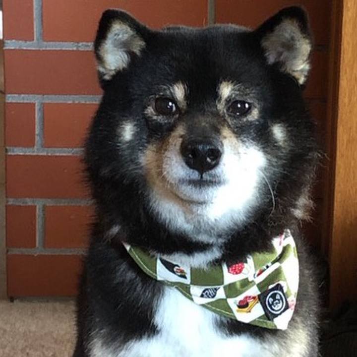 5569d19e 46d3 430c a357 3a7205d889e0 1556579575590