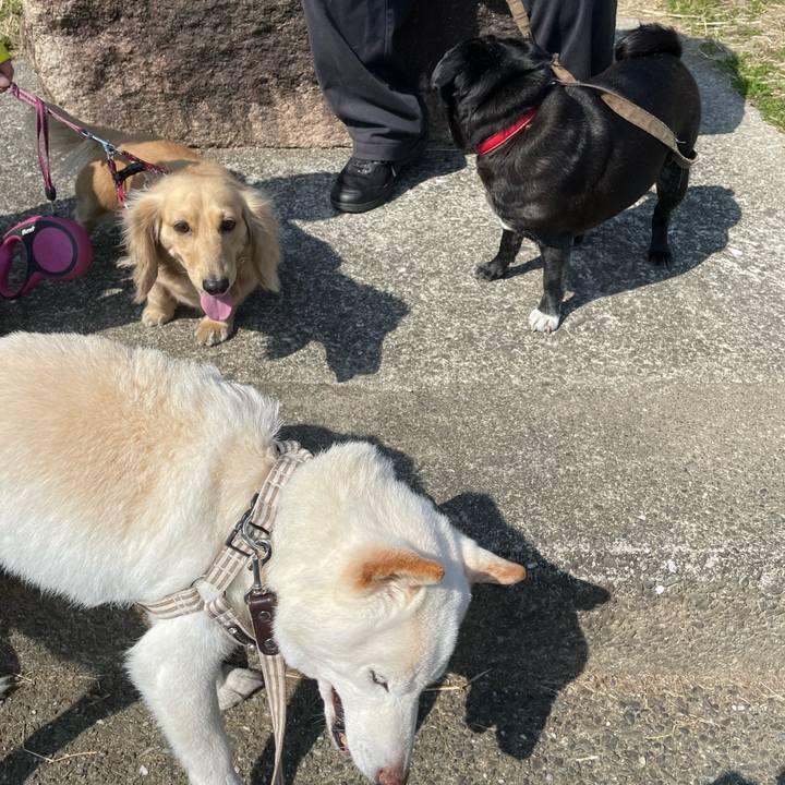 5569f681 7158 484e a452 379783a923de 1646921044784