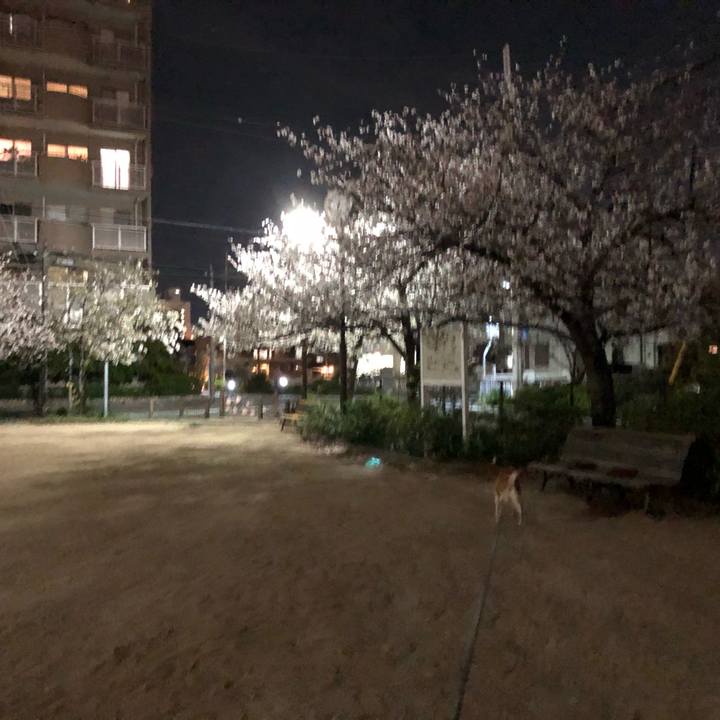 556a1388 4321 49a1 a6c0 26a4ad88eafb 1585493709761