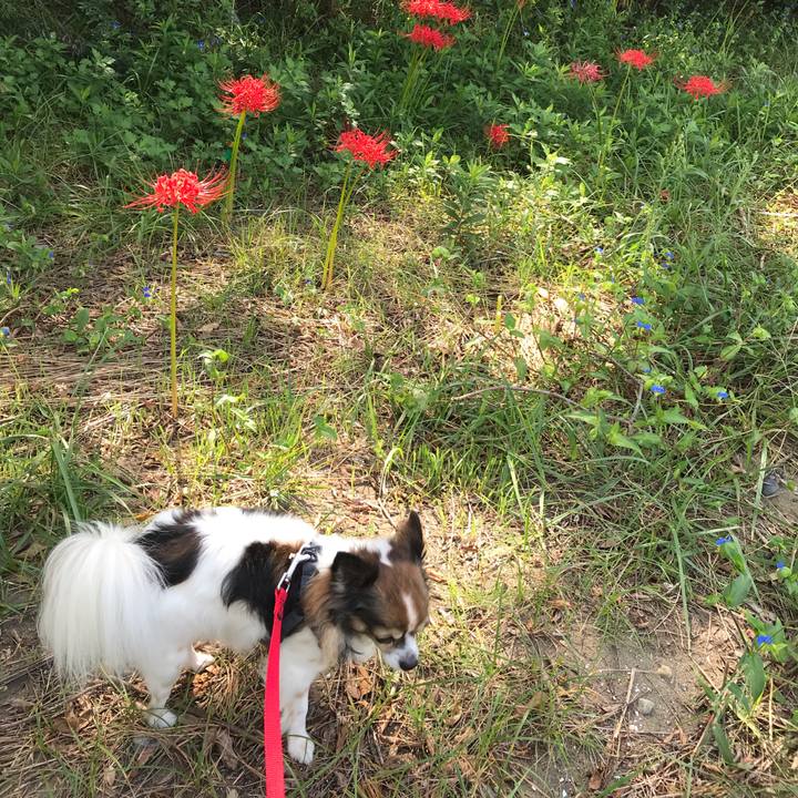 556a3039 eb5c 450e b085 0b7492b23c37 1569547271129