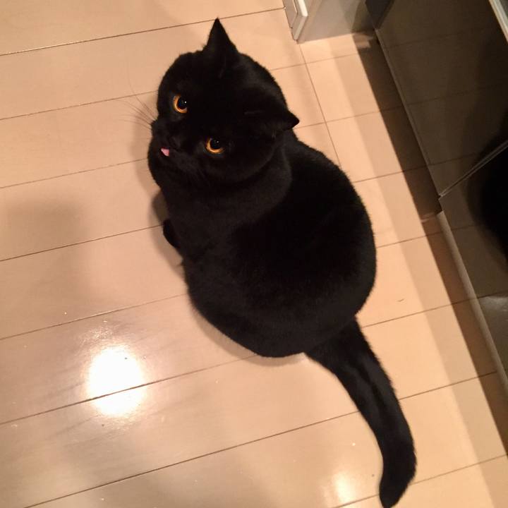 556a49cc b28a 4446 98e8 99c722ebee4c 1580212516359