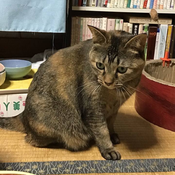 556a5e2d 0921 43b8 8601 d24852d78d04 1671269342281