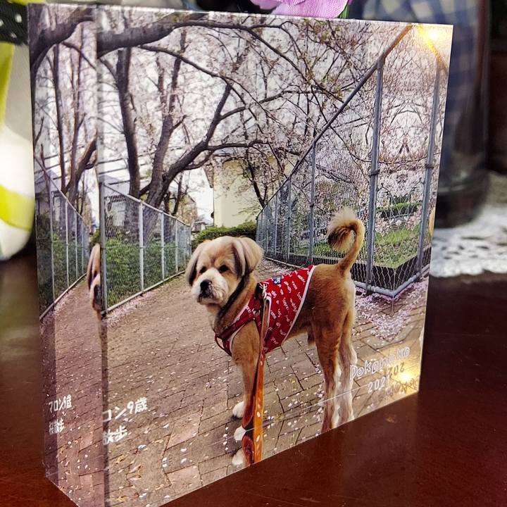 556adeed 0986 49f3 808b dd66a00beac8 1621505991300