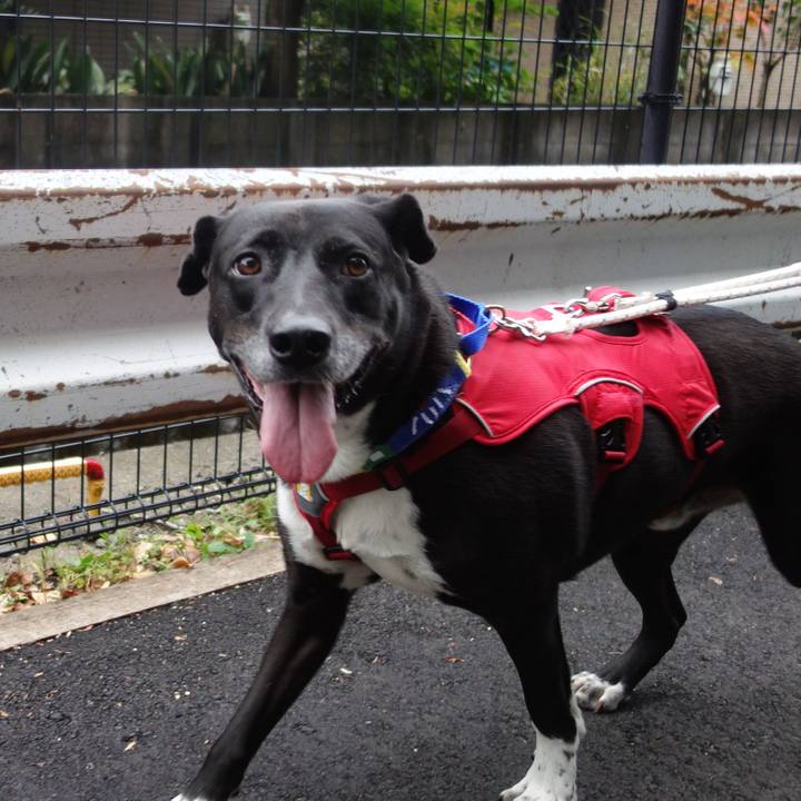 556b0d72 61f1 4a63 8514 43df007b7a4d 1667263151809