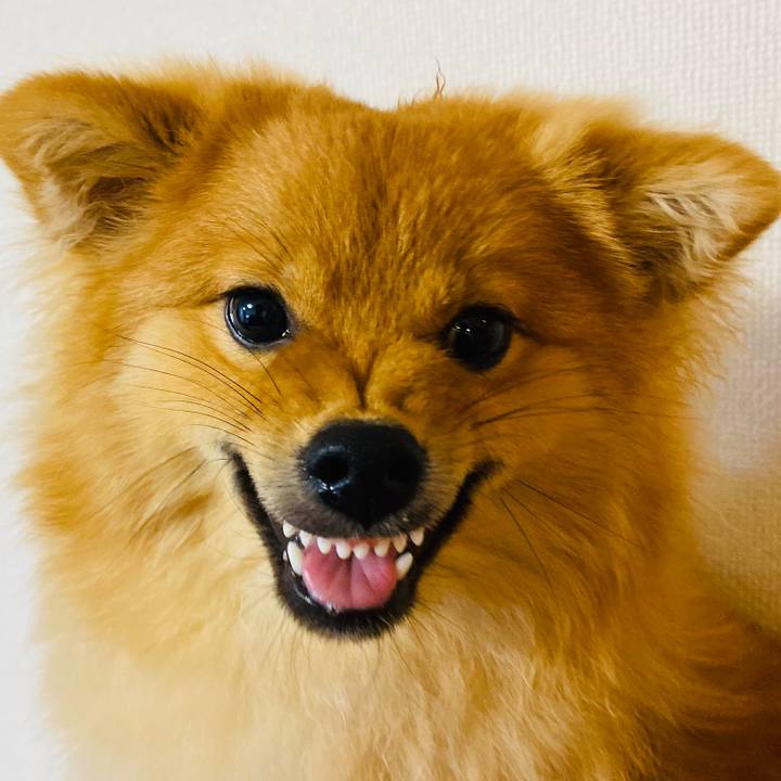 556b18d5 a897 4033 a045 cd735c64db27 1588259965757