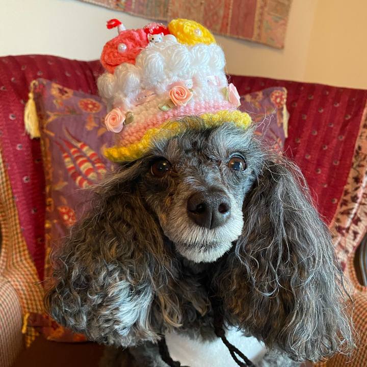 556b1fdb 4251 46c9 b711 fcd5888be51f 1751606689114