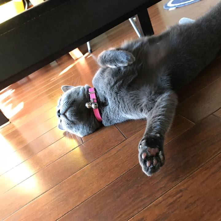 556b2d1f fe23 4a02 824a 4c19a9b9158d 1538959000730