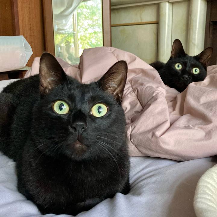 556b2db5 5721 4b28 87d3 0f8139ecfa30 1717486394017