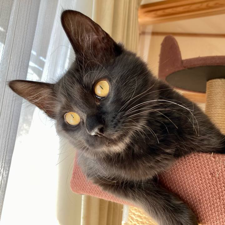 556b359a d065 46d2 85de 55406654e31f 1706593069395