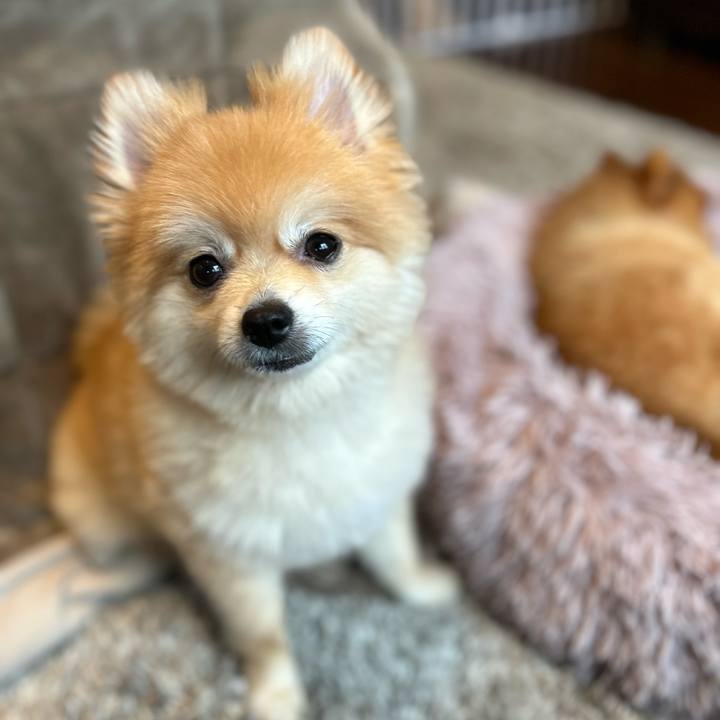 556b59c2 c057 4fe0 836d a80b8a4d9f07 1681911802761