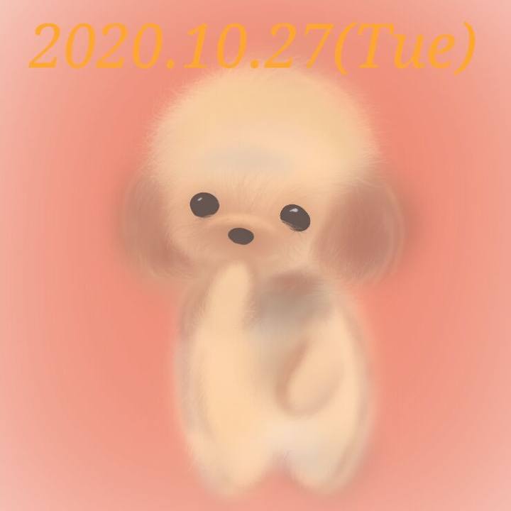 556b5ad0 1e19 4039 996a d42b9ac5816f 1603796377081