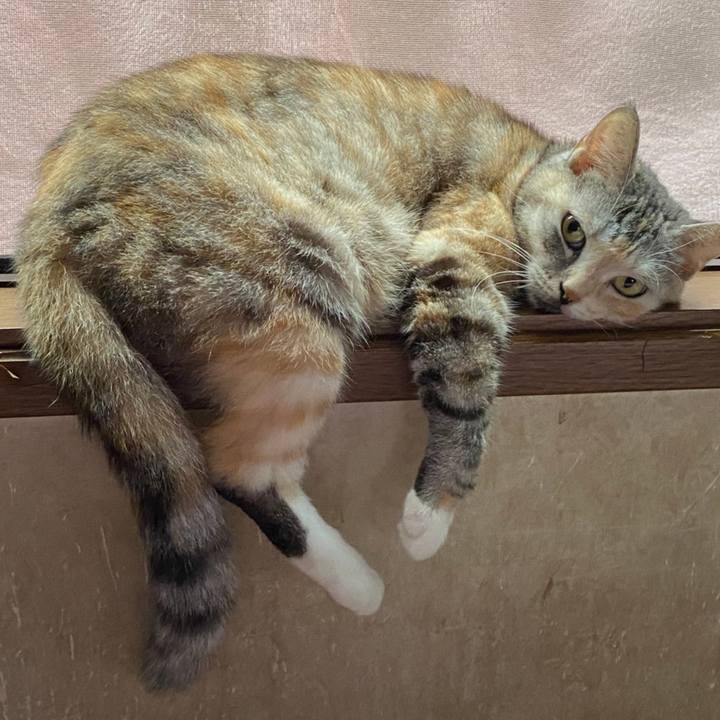 556b7463 418a 4dcc 93f9 a7f8603681aa 1601846182559