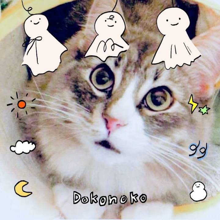 556bdfd2 1a28 4bed ad7c 3aea9405216d 1749482456071