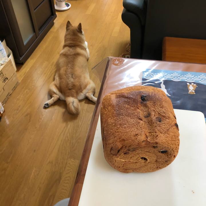 556bf894 0495 4380 a8b1 4c2868eef036 1596358971988