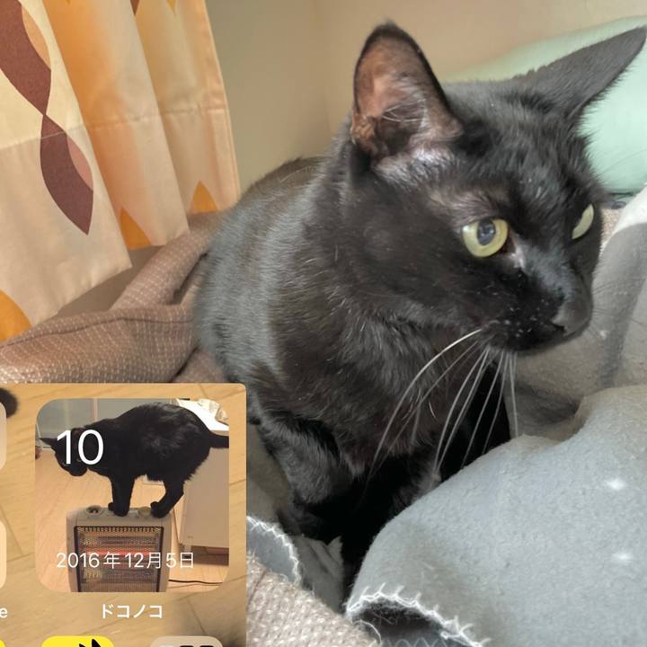 556bfd83 a9c3 4706 9917 f9fedf2cd540 1702170760436