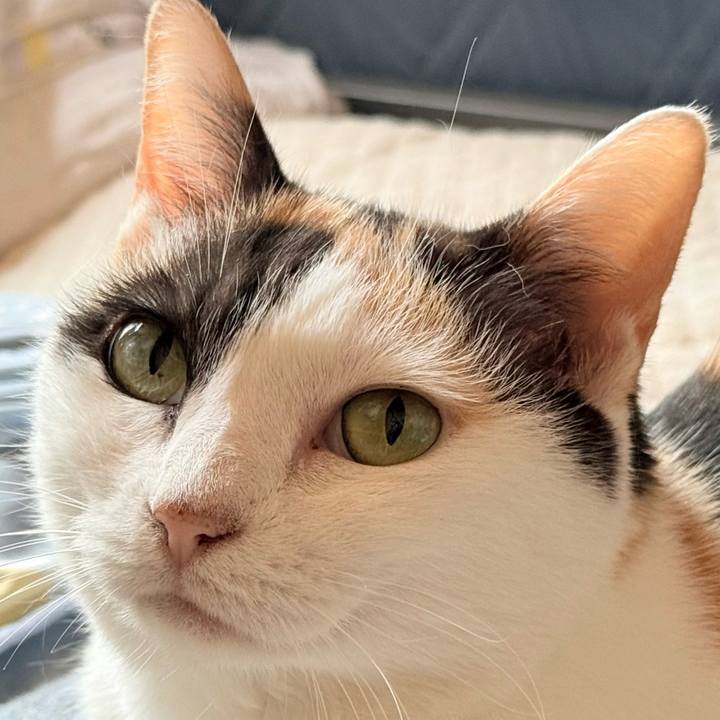 556c0b65 c8d9 4b44 a057 63a9b6ed0433 1759197044859