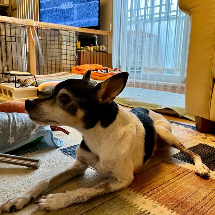 556c596c 1121 42f6 87ec 30d10d2f3f47 1657837356853