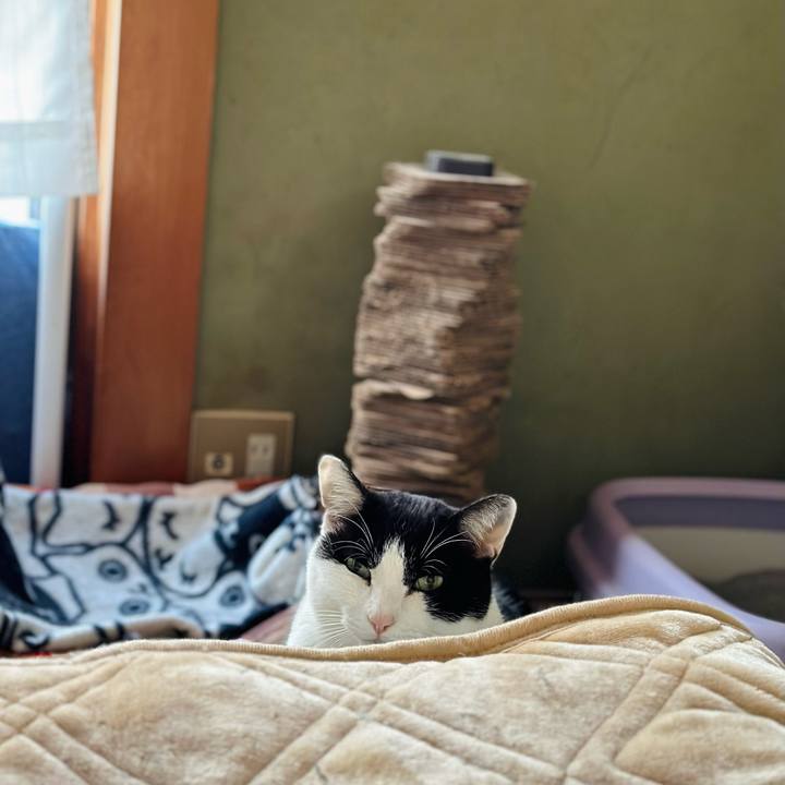 556cf87c 1d7d 47a5 b241 fe2c2c3b963e 1675218641848