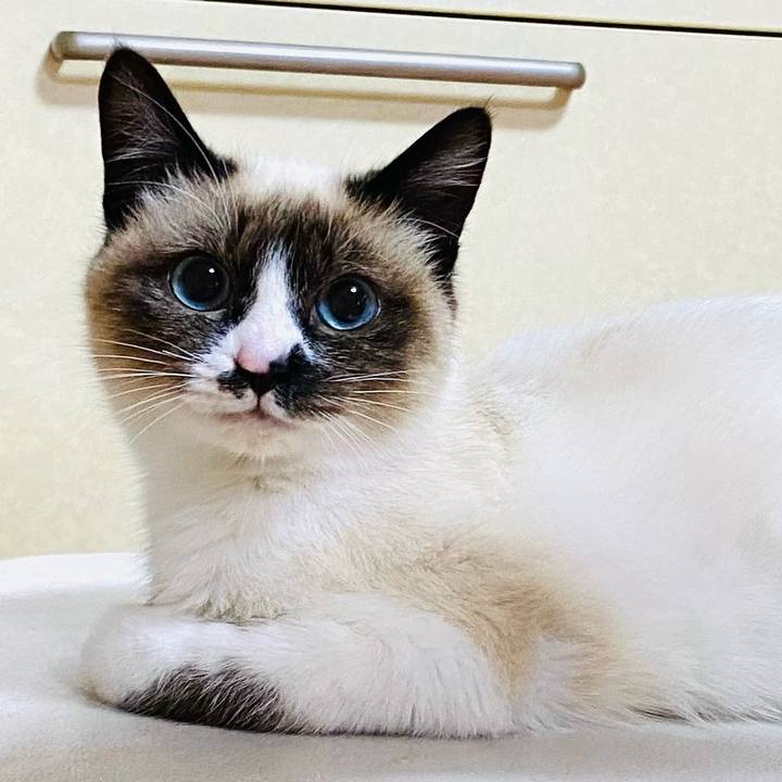 556d19ec bd31 46d2 96f4 0c5d66a12713 1682340764001