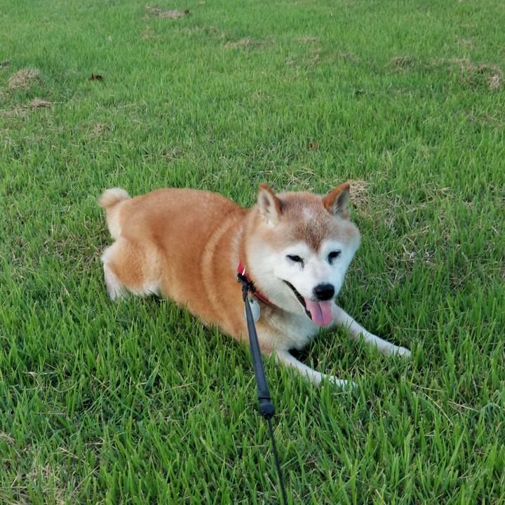 556d2447 6832 495a 97b5 3eed179b47ee 1723368379068