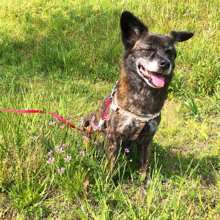 556d7363 4895 4073 aac4 693792b6a913 1588647612045