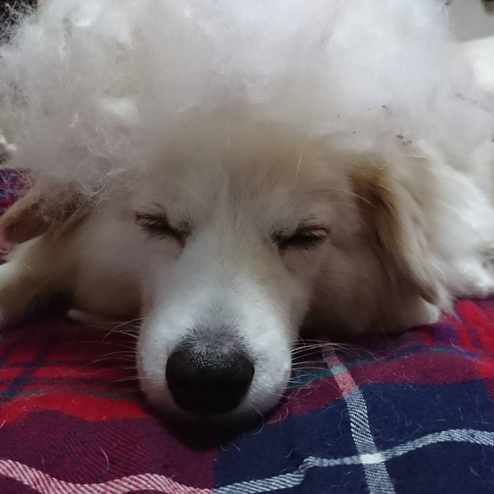 556d7863 1f8a 4561 b130 256d77a271b5 1511149256115