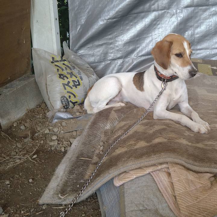 556d884a f5ea 4f1c 9d04 221e80f52e4a 1628349702395