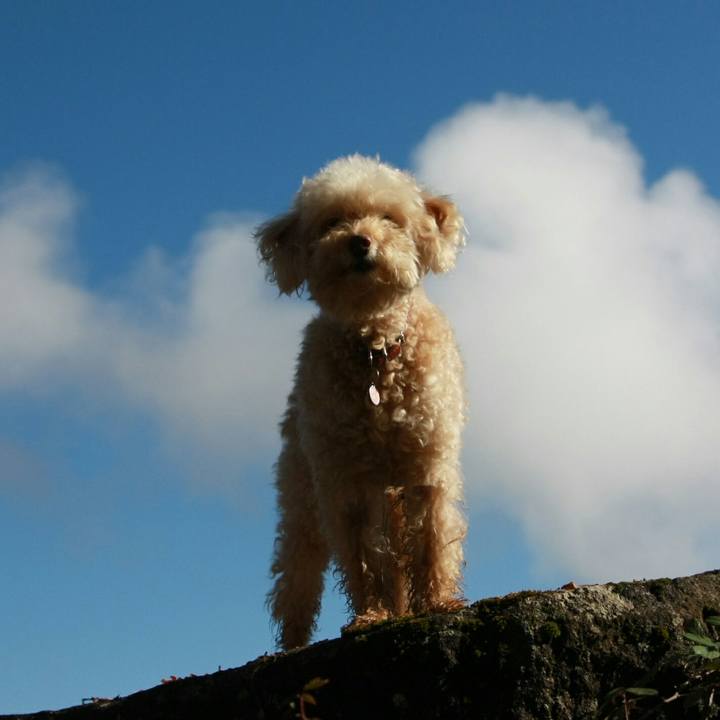 556d9526 15c6 49b5 ac37 cdb1ba7e5cab 1543186955537