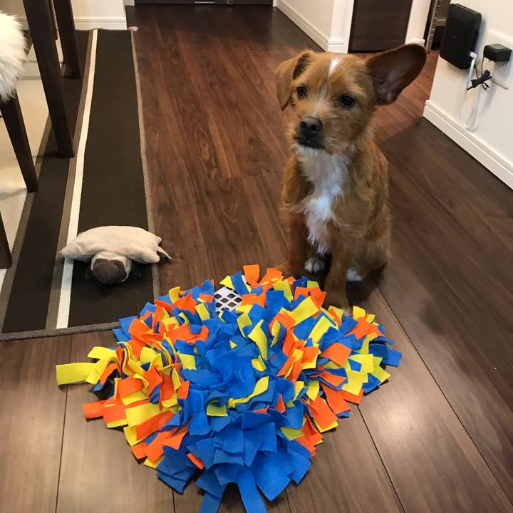 556d9a20 088c 49da ade8 a6e3afaba493 1551004967903