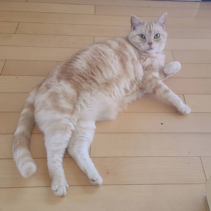 556dbb1a 82b6 401a b8c6 b83ade2810a7 1619045469187