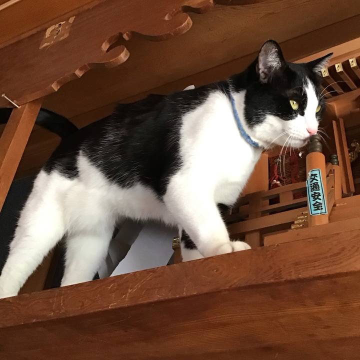 556dc340 992c 4e87 ac69 500820a69d57 1678164947384