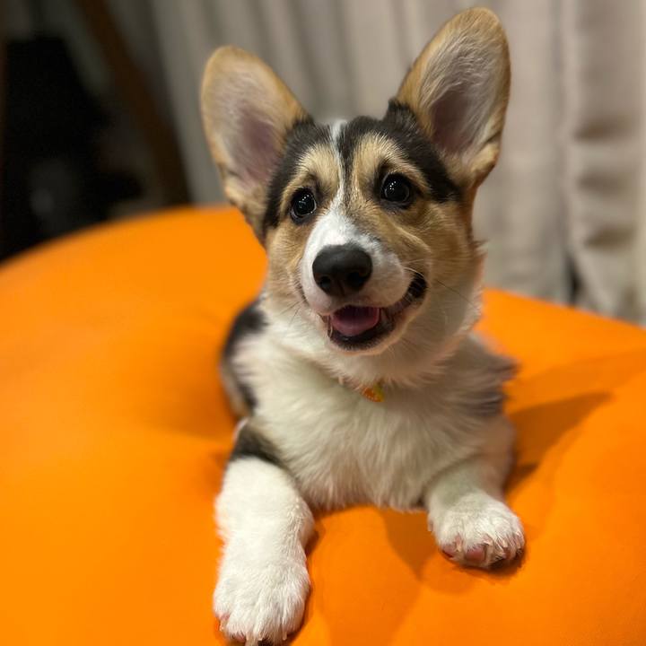 556e1283 494c 4c01 a6a1 ba98705048d3 1774008736378