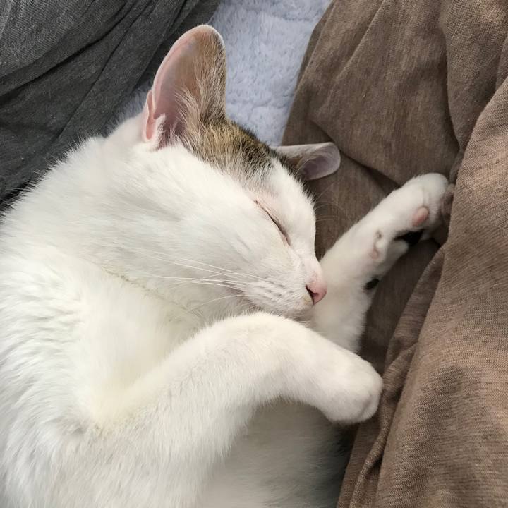 556e1614 2212 4824 b5f6 19fb9576ab6e 1522977934084