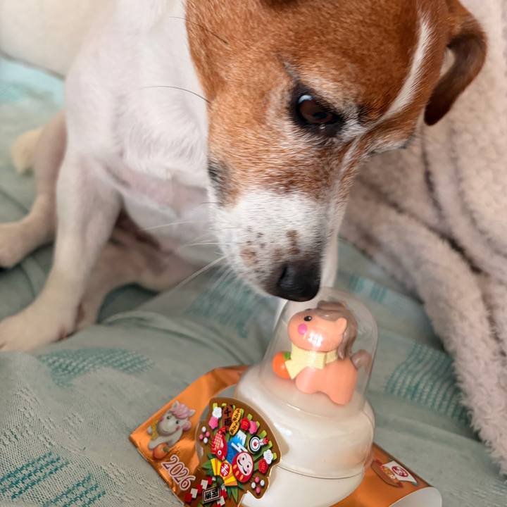 556e372a f252 4133 b2a8 b35f0bc0f368 1767212451616