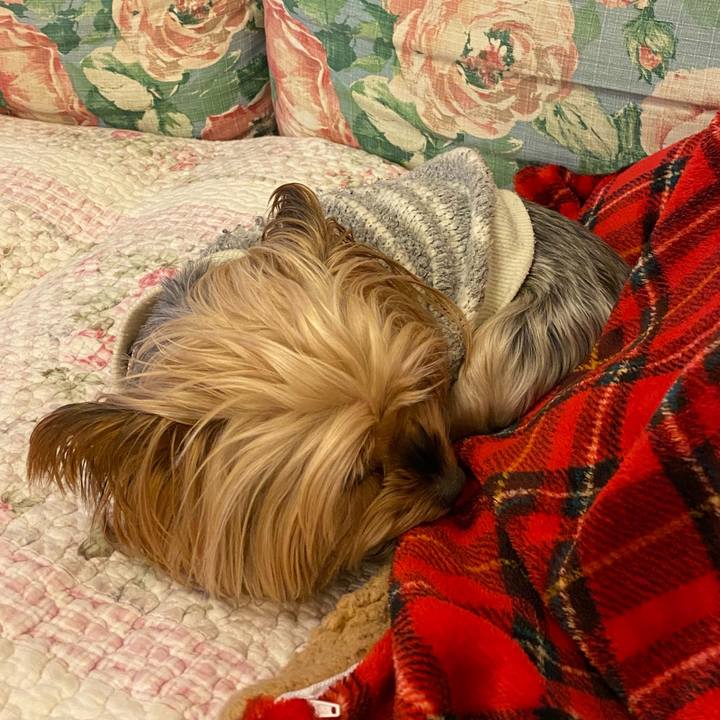 556e40c1 5127 4274 a5ca c0216f1c1868 1609241178991