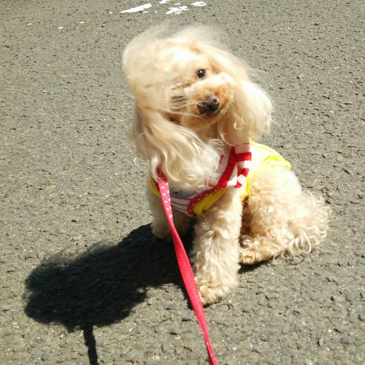 556e547e 3e22 4c10 bf47 360e08f3f74b 1522398925126