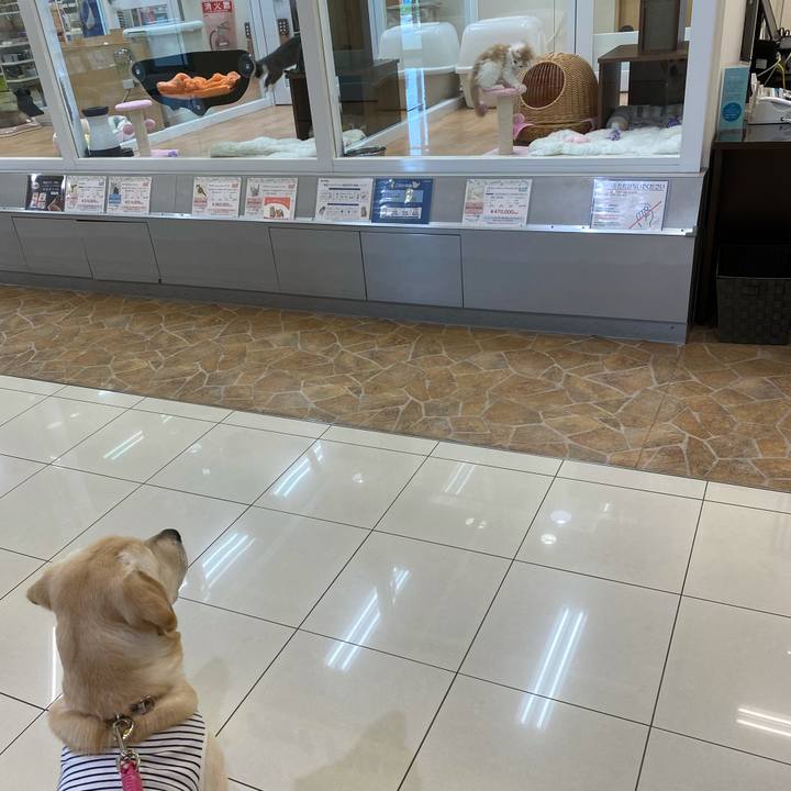 556e5537 98ed 4f1c b516 29d70263319e 1621232665176