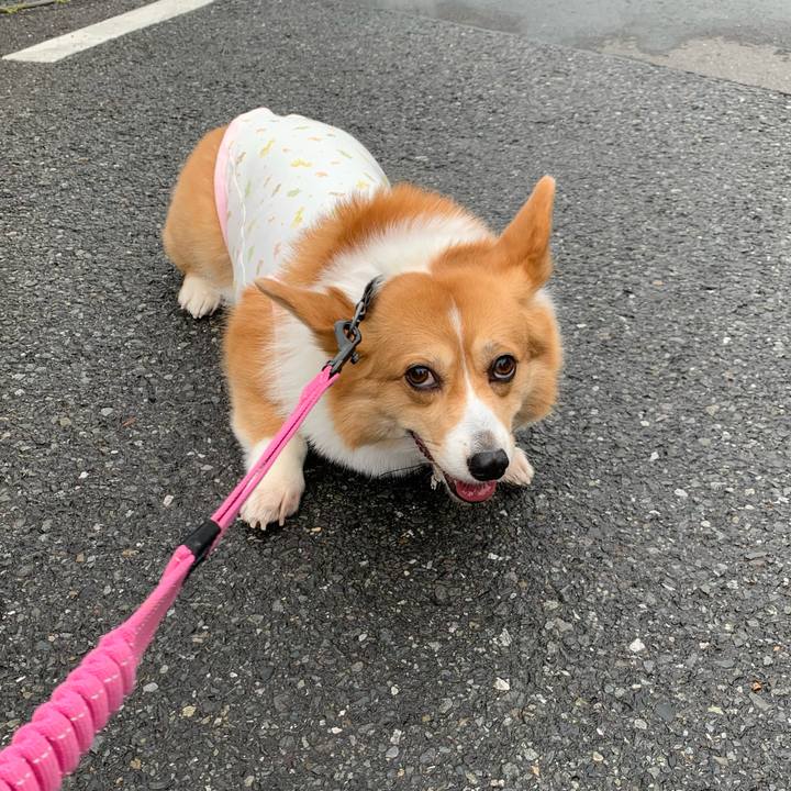 556e5ff6 6fb0 4d14 a7a7 d61bb811a4c0 1591047724568