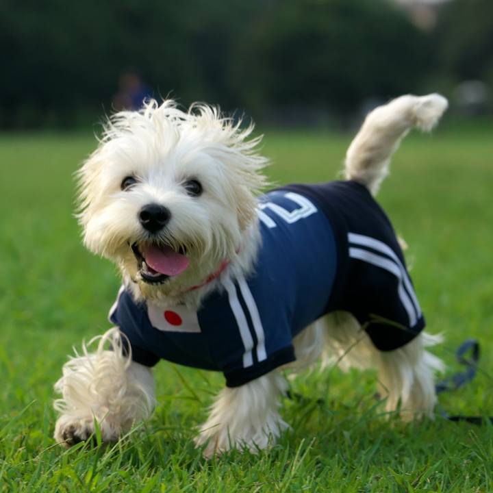 556e69d1 fc7e 4cfb b04d f1c673e0a536 1537101915183