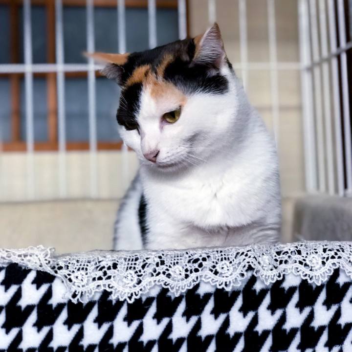 556e70a2 fede 4235 ba44 c5f4ffca5e7f 1509781764399