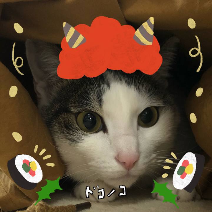 556e9eb9 fe37 4bbc a480 9f4eca6f6bcc 1707137107130