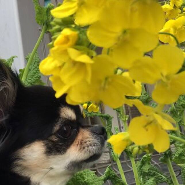 556ebd58 af4c 405a b853 a31563ded124 1583447038362