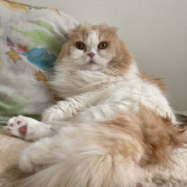 556ed104 c4a4 4ea7 9522 8b7d46010903 1650551344010